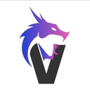 V-Dragon Pickleball