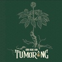 Sâm Ngọc Linh TuMơRông Kon Tum